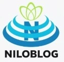 از پروپوزال تا  دفاع پایان نامه در شیراز